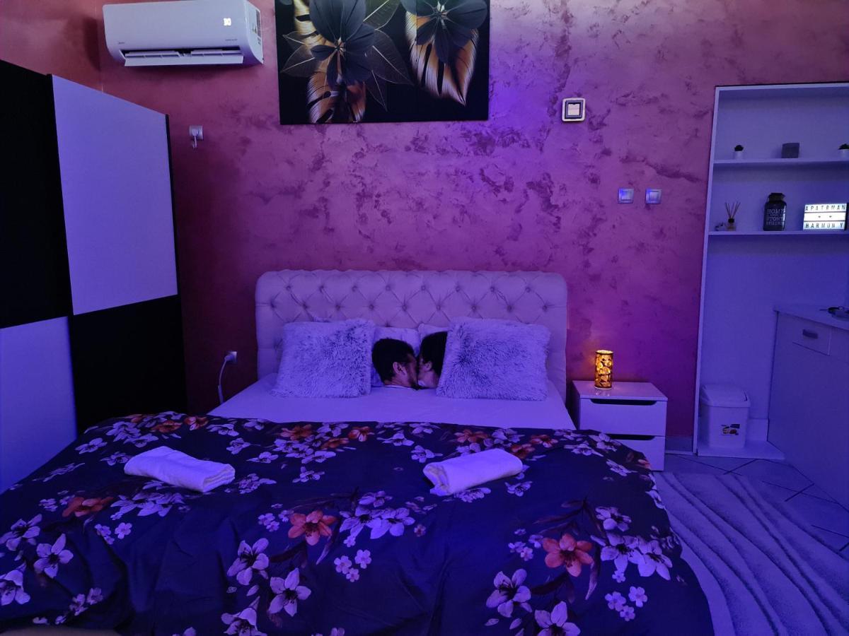 Apartman -Harmony- ปาราชิน ภายนอก รูปภาพ